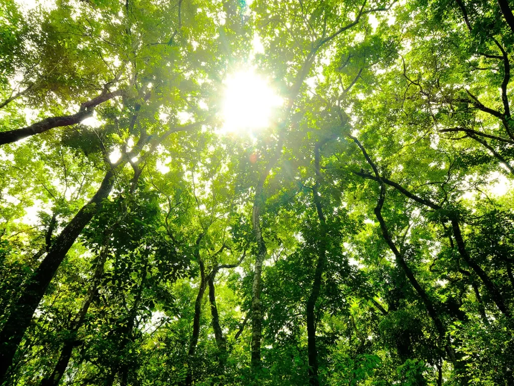 17959899 KIP 7reasons eco friendly 1600x1200